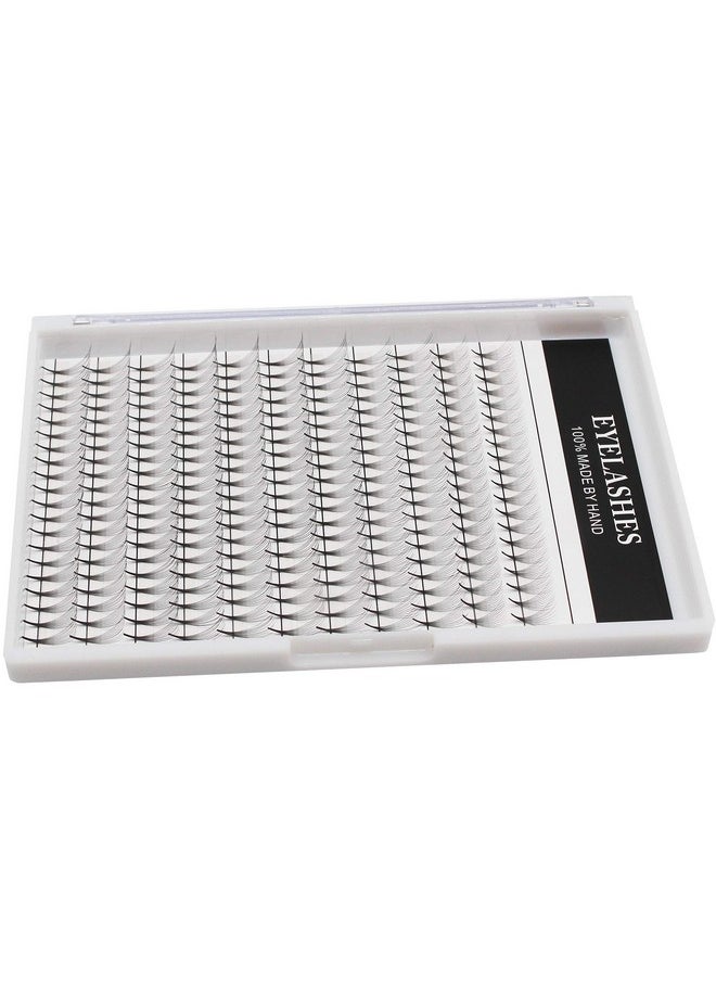 Large Traydedila Long Stem D Curl 10D Volume Premade Fans Eye Lashes Extensions Mixed 8101214Mm10121416Mm12131516Mm 121416Mm141516Mm Individual False Eyelashes (121416Mm) - pzsku/Z2291885A55C12ABF87D2Z/45/_/1707975307/9afbcd97-febd-45fb-8758-dff84b57ab55