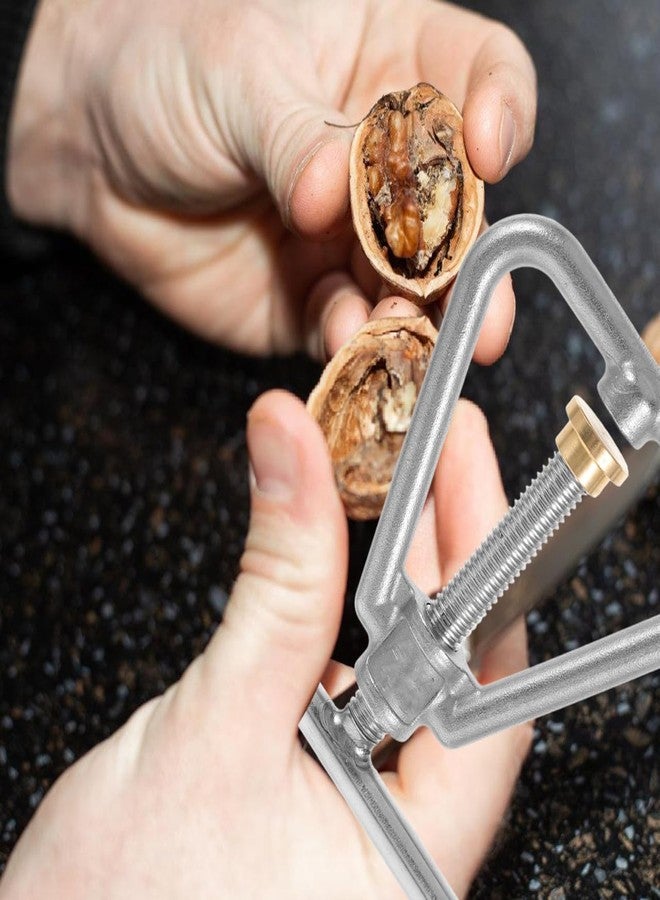 Hemoton Nut Cracker Black Walnut Cracker Stainless Steel Nutcracker Tool for Walnut Hazelnut Almonds Pecan Walnuts - Image 4