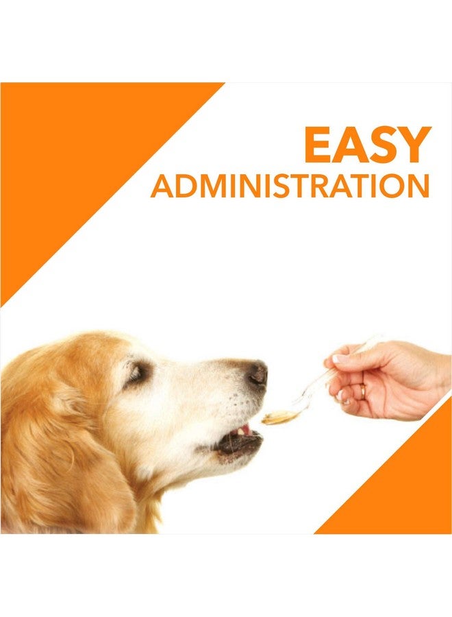 Drools Absolute Dog Supplement Syrup, Salmon Flavor 300 ml Jar - Image 4