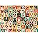 Hiwhy 1000 Pieces Jigsaw Puzzles for Adults Vibrant Dog Faces Fun and Challenging Dog Puzzle for Family and Friends Challenging Puzzle Perfect for Game Nights 197x276 in - Image 2