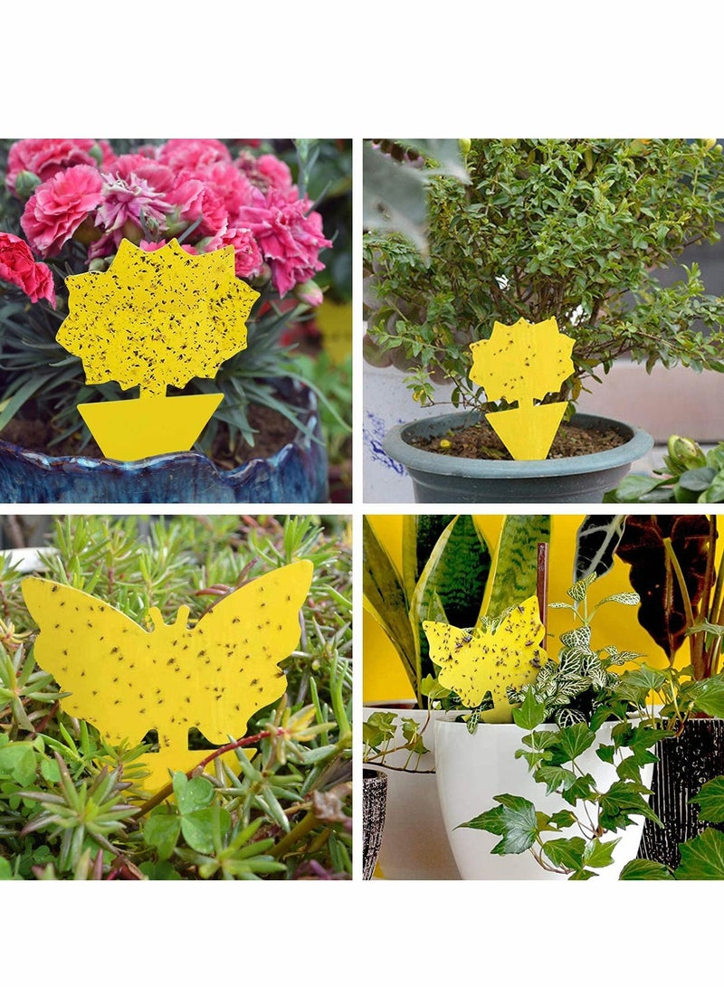 KASTWAVE 48 Pack Sticky Fruit Fly Traps and Fungus Gnat Trap Killer for Indoor and Outdoor, Whitefly, Mosquito Bits, Flying Insects, Fly Traps Save Your Plants，Non-Toxic and Odorless - Image 5