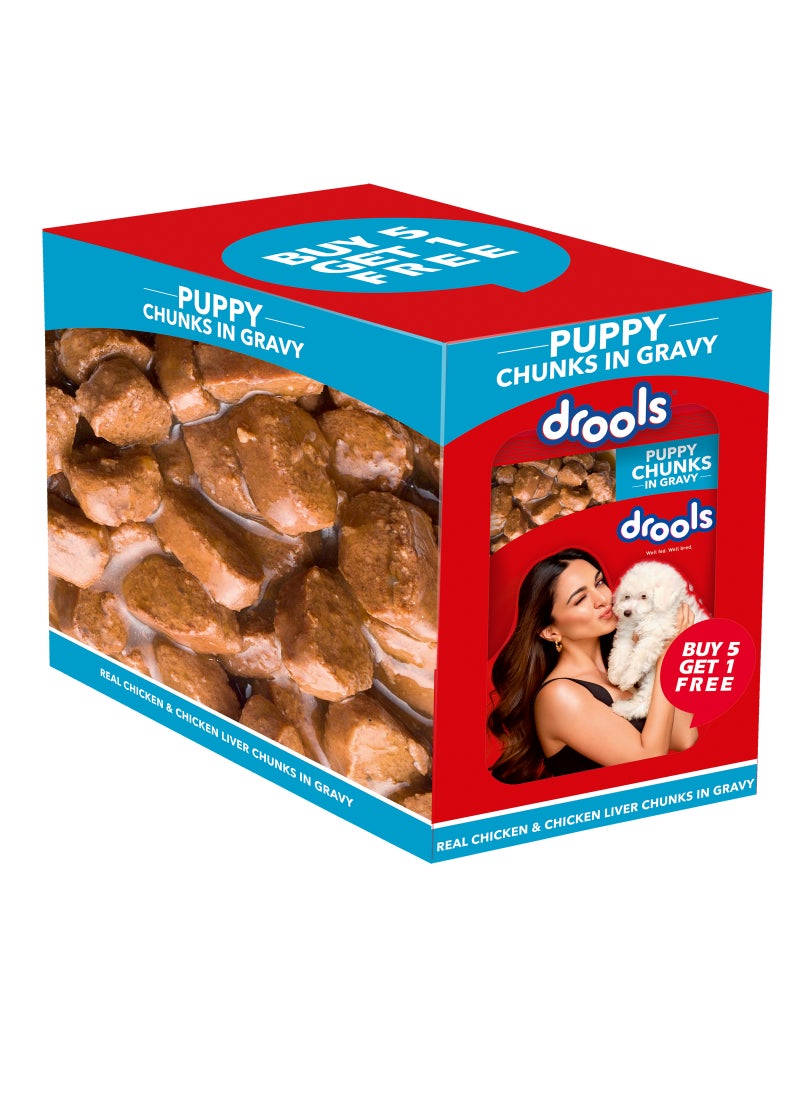 Drools قطع دجاج ولحم كبد الدجاج في صلصة  طعام رطب  5+1 عبوة مجانية - Image 1