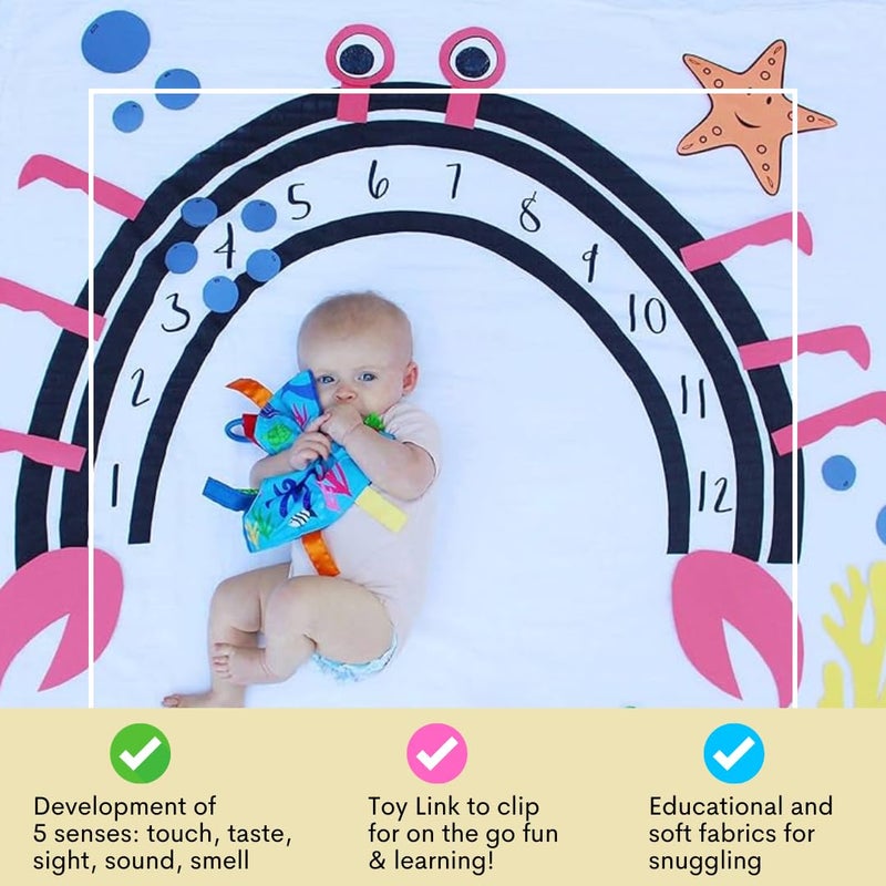 The Learning Lovey Baby Jack & Co 8x8” Ocean Lovey Tag Toys for Babies - Crinkle Toys for Developmental Play - Soft & Safe - Learn Shapes & Colors - Ideal Toy for Tummy Time - BPA Free w/Stroller Clip - Image 5