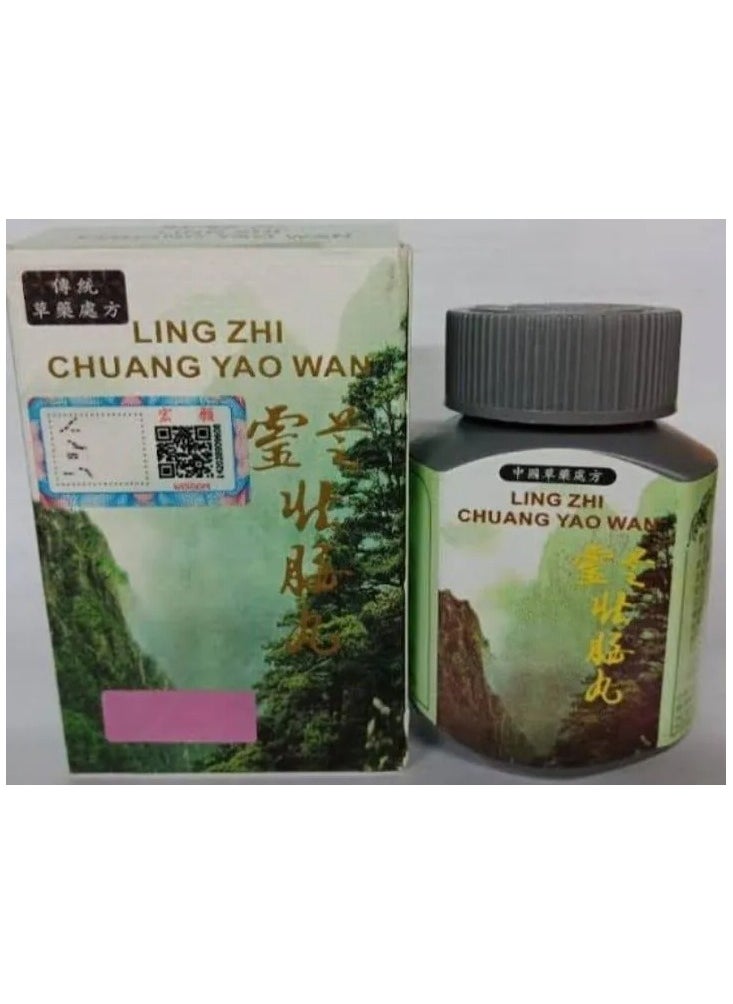 Ginseng Kianpi pill - Ling Zhi Chuang Yao Wan Capsule - Image 1