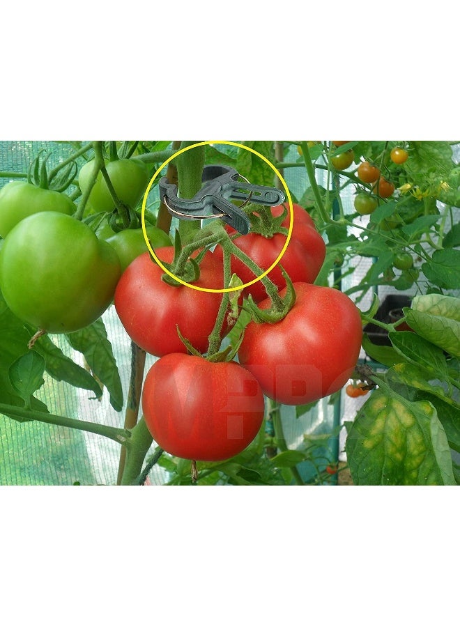 Generic RamPro Plant Clips, Tomato Clips For Plant Support 40 Pieces -Green Gentle Gardening Plant And Flower Lever Loop Gripper Clips, Tool For Supporting Or Straightening Plant Stems, Stalks, And Vines  - Image 1