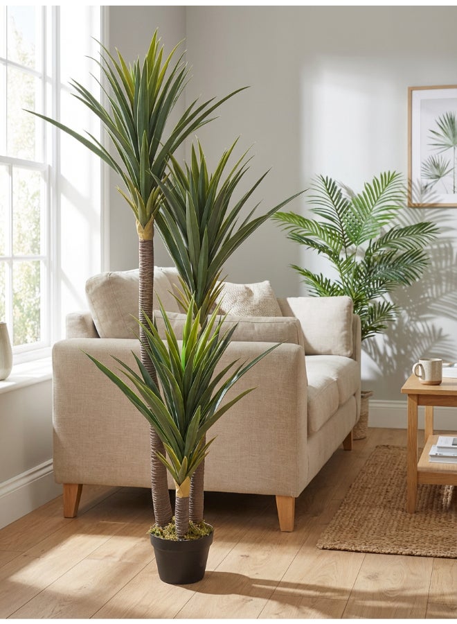 ايست من نون شجرة يوكّا الاصطناعية بارتفاع 150 سم (5 أقدام) مع وعاء | نبات أرضي بتصميم وملمس واقعي - أخضر | شجرة بتصميم طبيعي زخرفي للمنزل، غرفة المعيشة، غرفة الدراسة ومكاتب العمل - Image 2