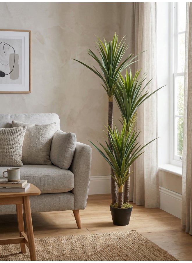 Yucca 150cm (5 ft) Tall Artificial Tree with Pot | Floor Plant with Lifelike Design & Texture - Green | Decorative Natural Texture Tree for Home, Living Room, Study & Office spaces