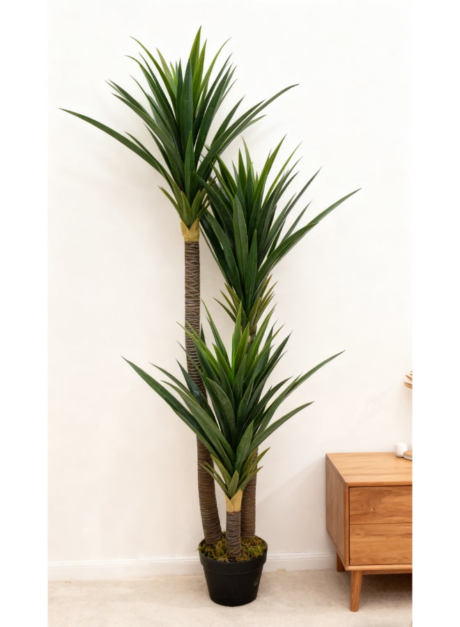 ايست من نون شجرة يوكّا الاصطناعية بارتفاع 150 سم (5 أقدام) مع وعاء | نبات أرضي بتصميم وملمس واقعي - أخضر | شجرة بتصميم طبيعي زخرفي للمنزل، غرفة المعيشة، غرفة الدراسة ومكاتب العمل - Image 3