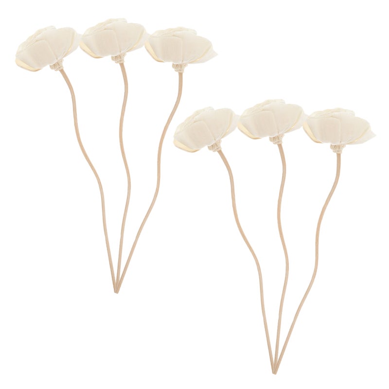 6pcs Dried Flower Diffuser Sticks Diffuser Sticks for home - Image 2