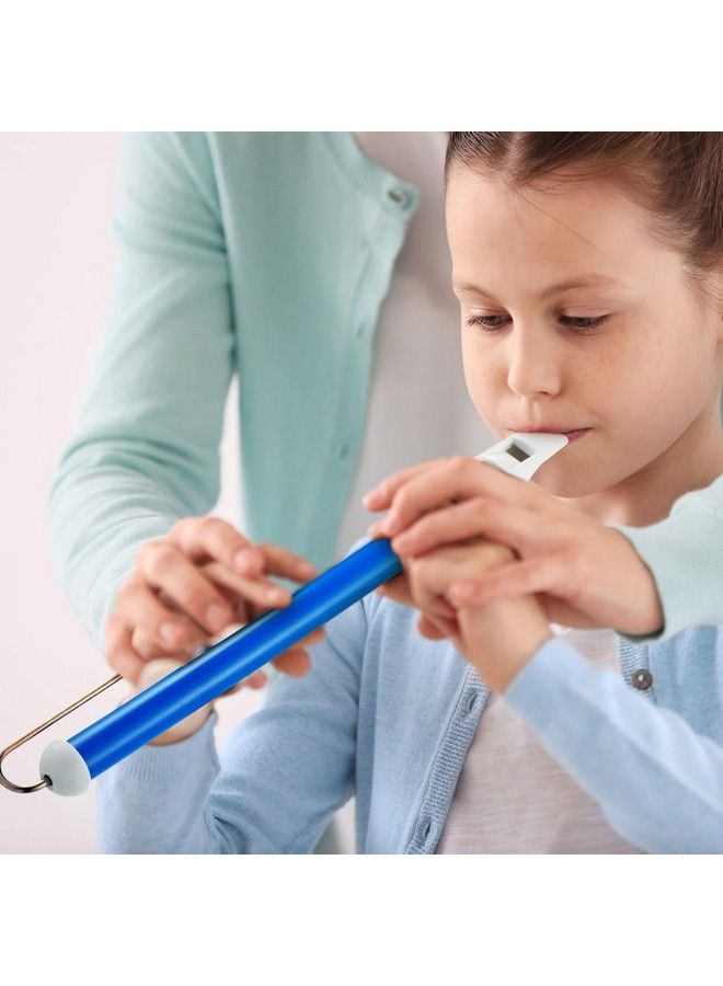 BOAO 2 Pieces Slide Whistle Instrument Slide Whistle Toy Slide Whistle Party Favors With Stainless Steel Sliding Rods For Parentchild Games Educational Party Favors - Image 5