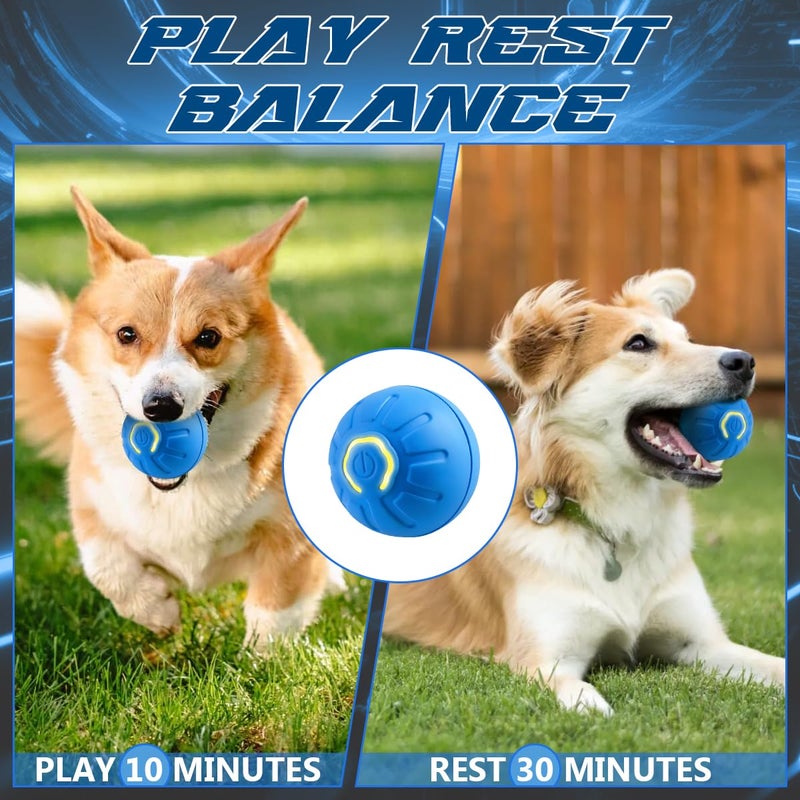 Diehous 2 Pcs Shaky Ball Toy for Dogs,2025 New Shaky Dog Ball,Upgrad Interactive Dog Ball Automatic Moving Dog Toy Ball,USB Rechargeable Vibrating Dog Ball Remote Control Pet Ball for All Dogs(Orange+Blue) - Image 2