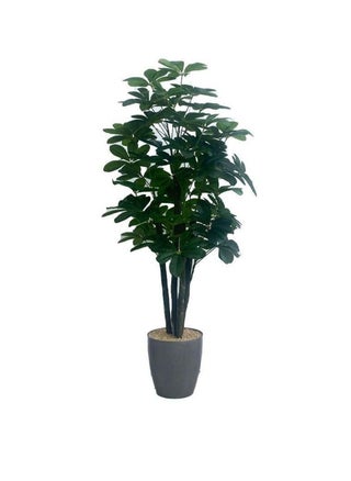 Artificial Tree - pzsku/Z229BA86A24C1BE536DAEZ/45/_/1676588248/02a51347-accc-4ba2-973c-1c883460c852