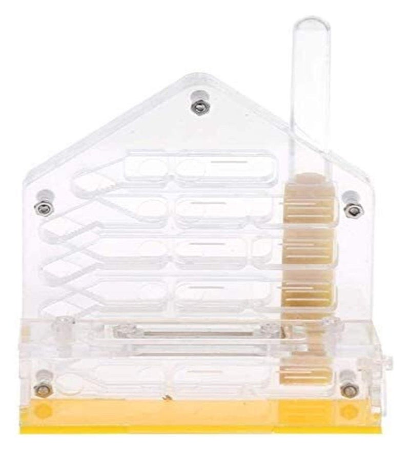 Clear Acrylic Ant Farm Habitat with Feeding Area Watch Ants Dig Tunnels - Image 3
