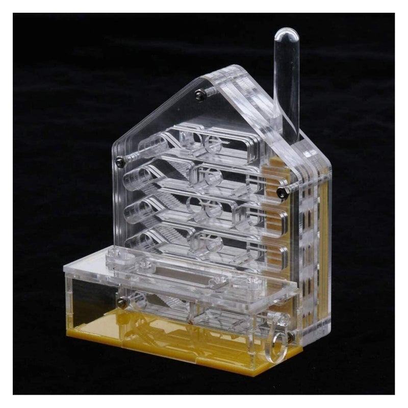 Clear Acrylic Ant Farm Habitat with Feeding Area Watch Ants Dig Tunnels - Image 4