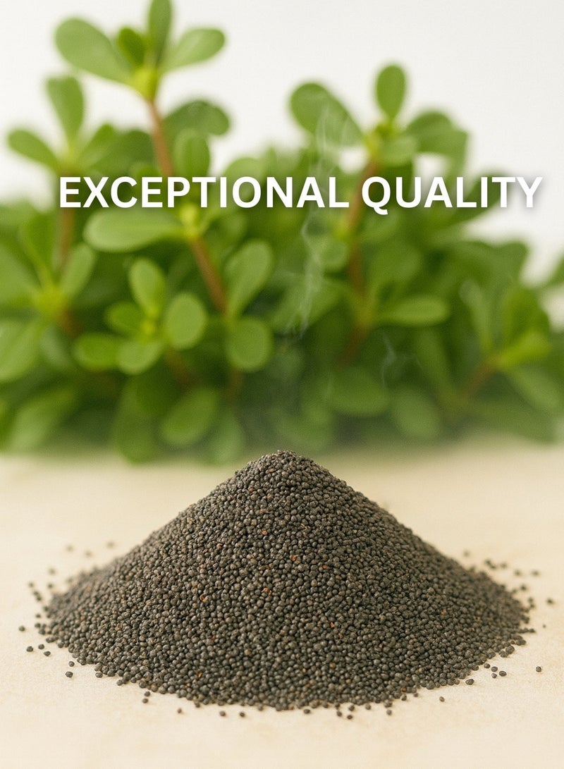 Zahr AL ZAHR Pure Raw Purslane Seed – Premium Quality Kulfa Seeds | 100% Natural, Sun-Cured, and Sustainably Grown | Rich in Omega-3, Nutrients & Minerals | Ideal for Smoothies, Tea, Baking & Salads - Image 3