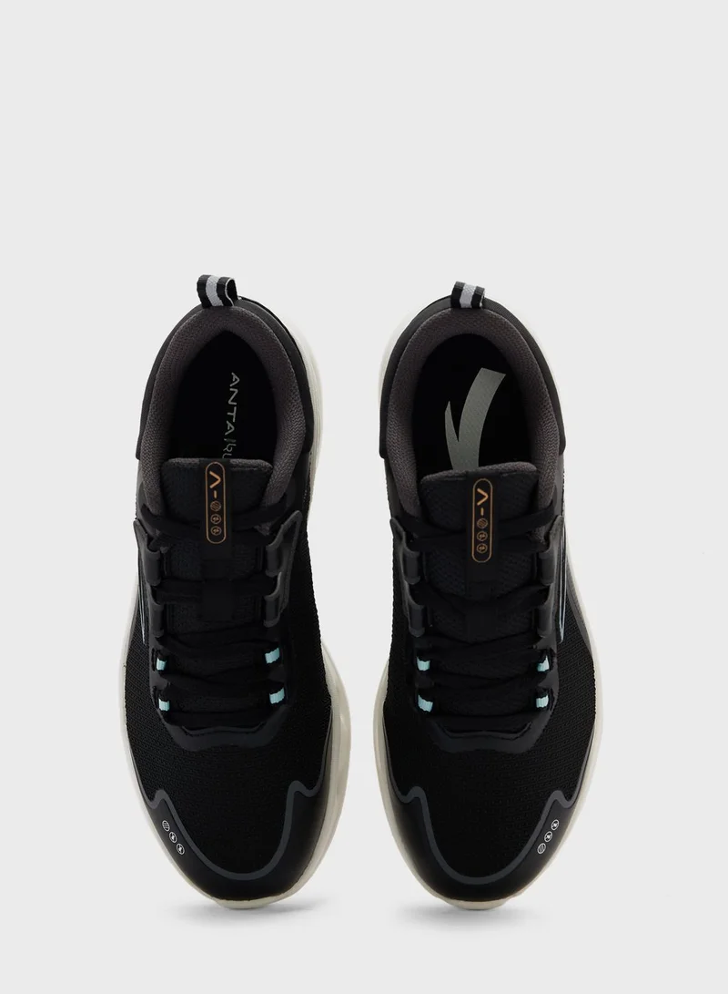 ANTA A-Loop