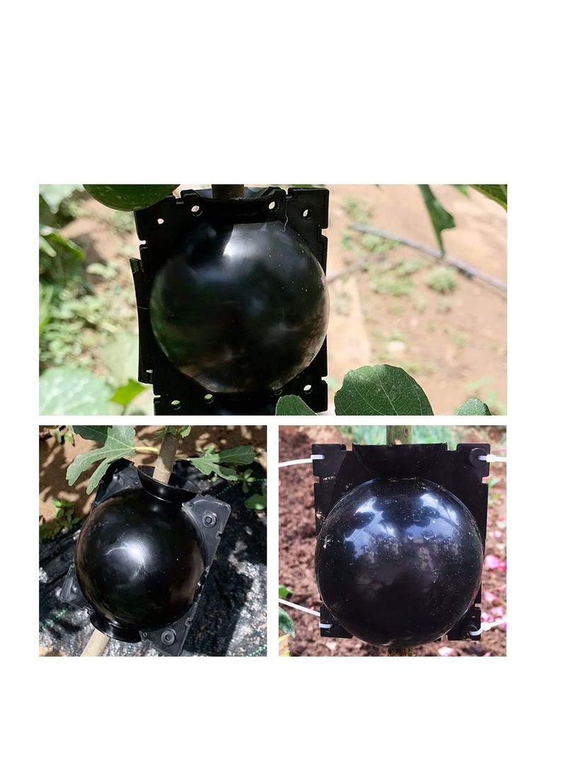 Plant Root Growing Box Grafting Device 6Pcs, High Pressure Propagation Ball Box, Assisted Cutting Plants Rooting Growing Breeding for Reproduction Equipment (M) - Image 4