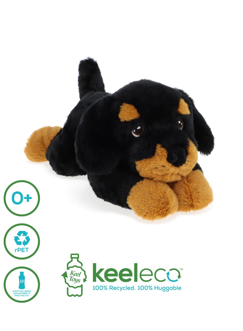 Keel Toys Keeleco Puppies 22cm, Assorted 1 Piece (Style & Color May Vary) | Soft Toy | Plush Toy | Gift for Kids and Adults - Image 4