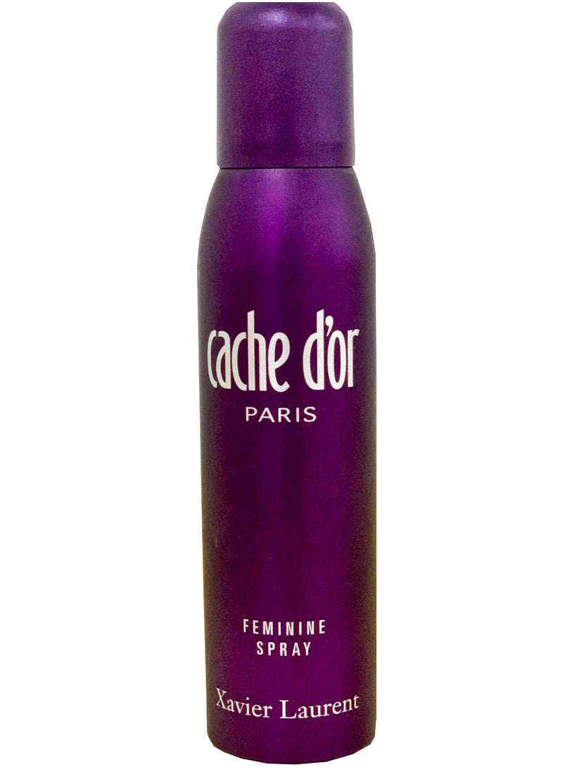 Xavier Laurent - XL Cache Dior Paris Spray 150Ml - Image 1
