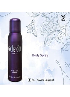 Xavier Laurent XL Cache Dior Paris Spray 150Ml  - Image 2
