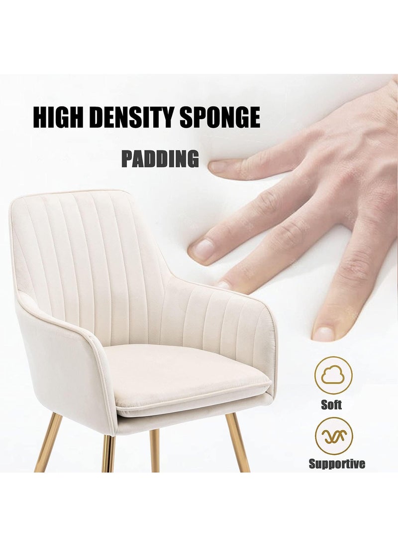 Taimi Set of 2 Modern Accent Dining Chair, Velvet Dining Chair, Home Office Chair, Desk Chair, Upholstered Living Room Chair, Living Room Bedroom Armchair with Golden Finished Metal Legs, Beige  - Image 4
