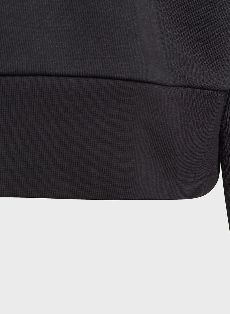 adidas Originals Youth Adicolor Cropped Hoodie