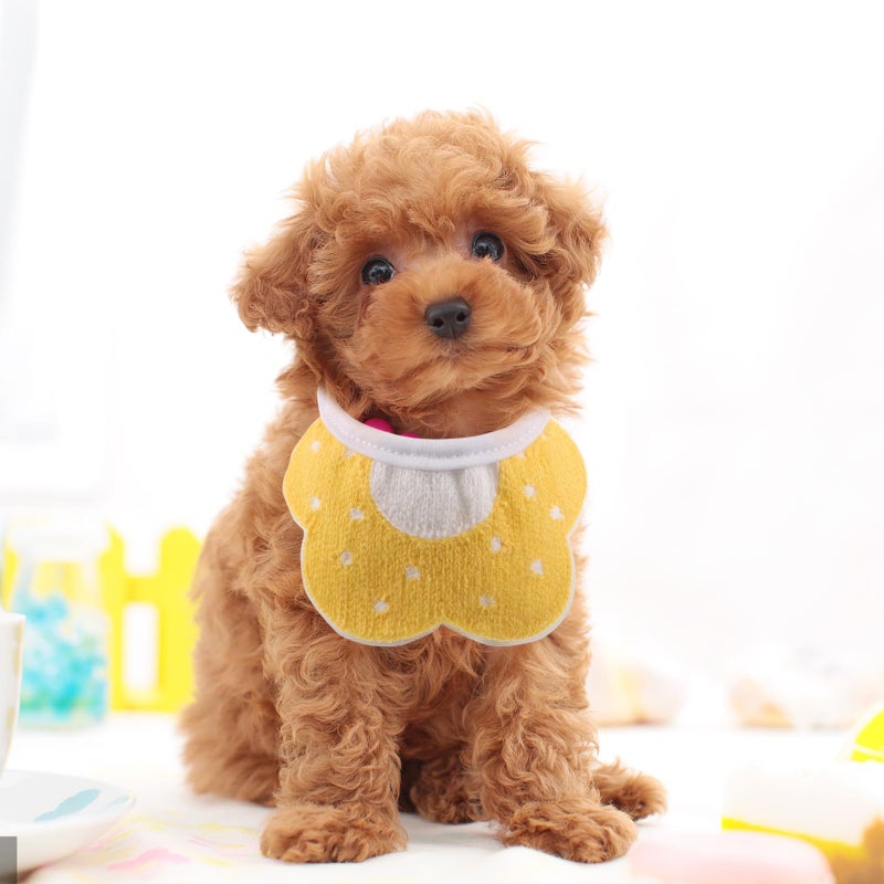 2Pcs Adjustable Pet Bandana Cotton Dog Bibs For Small Puppies And Cats Night Use - Image 5