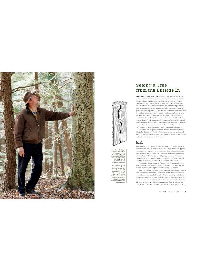 Hand Hewn: The Traditions, Tools and Enduring Beauty of Timber Framing  - Image 4