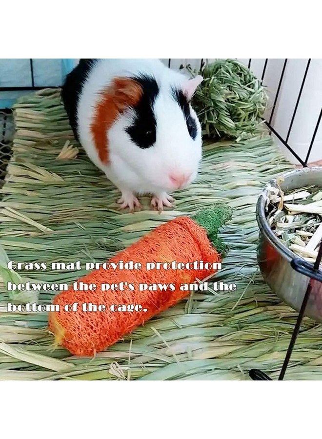 Kathson kathson Bunny Grass House Chew Toys Baby Rabbit Hideaway Hut Small Animals Grass Hideout Hand Woven Natural Grass Bedding for Guinea Pig Hamster Chinchilla - Image 4