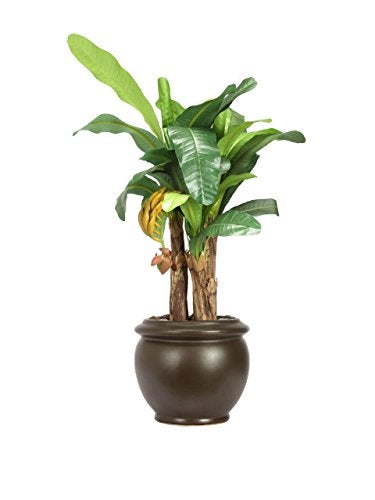 Fourwalls Bonsai Banana Plant (33 Leafs, 47 cm, Mixed Material, Green) - Image 5