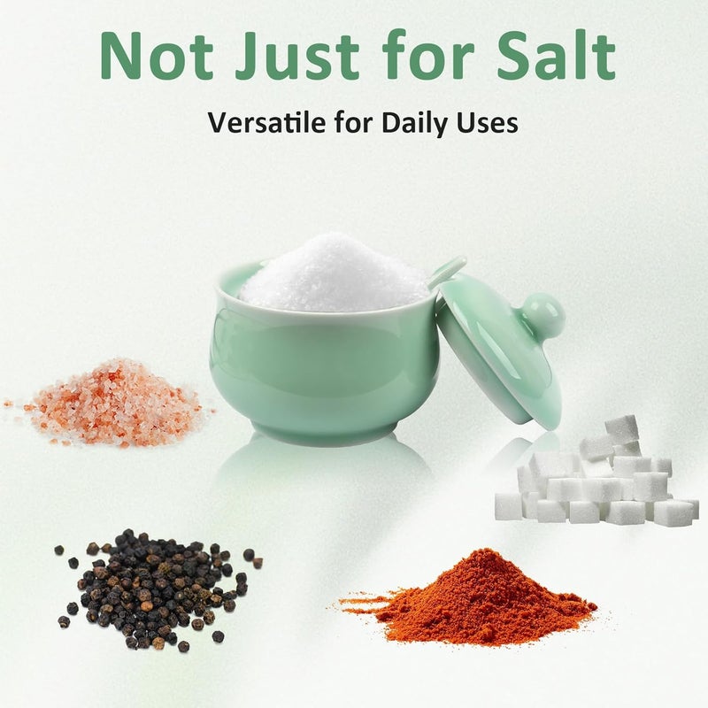 Tingyework Porcelain Salt Cellar with Lid and Spoon, 4.4 oz Salt Container Sugar Bowl for Spice & Seasonings, Elegant Kitchen Counter Decor, Chinese Celadon (Light Green) - Image 3