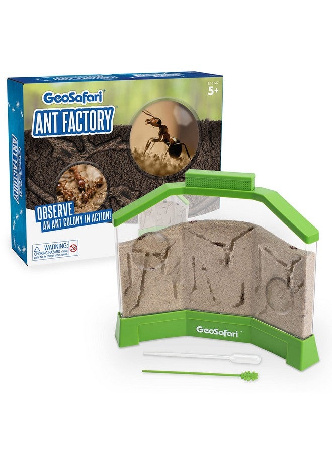 Educational Insights Geosafari Ant Factory With Sand, Watch Live Ants, Stem Learning Toy, Ages 5+, Large - Image 1