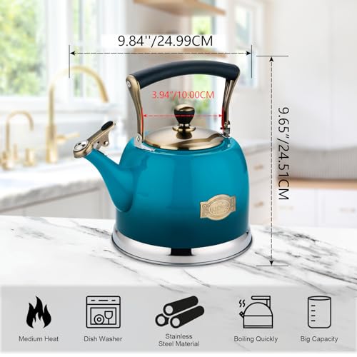 Lazneyru Tea Kettle Stainless Steel Teapot, Stainless Steel Teakettle for Stove Top with Heat Proof Ergonomic Handle 3.0 Quart - Image 4
