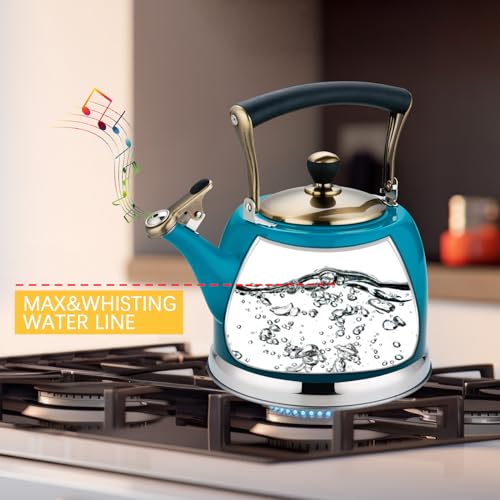 Lazneyru Tea Kettle Stainless Steel Teapot, Stainless Steel Teakettle for Stove Top with Heat Proof Ergonomic Handle 3.0 Quart - Image 3