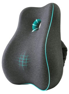 Support Pillow for Office Chair, Memory Foam Ergonomic Orthopedic Backrest with Adjustable Straps, Back Pillows for Back Pain Relief, for Gaming Chair, Couch, Recliner (Dark gray)