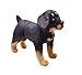 YONLIT Lifelike Rottweiler Dog Stuffed Animal Simulated Plush Puppy Toy Doll Super Realistic Black Dogs Act Like Real Excellent Gifts for Kids Birthday Party Dog Collection 12 Inches Rottweiler - Image 4