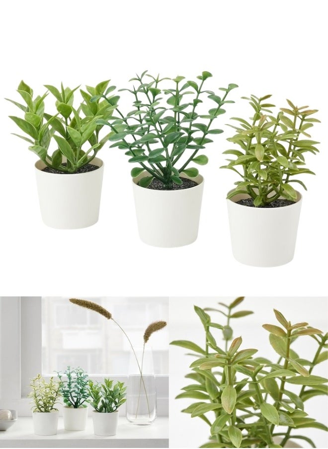Ikea - Set of 3 Artificial Succulent Plants in Minimalist White Pots – Perfect for Home and Office Decor - Image 1