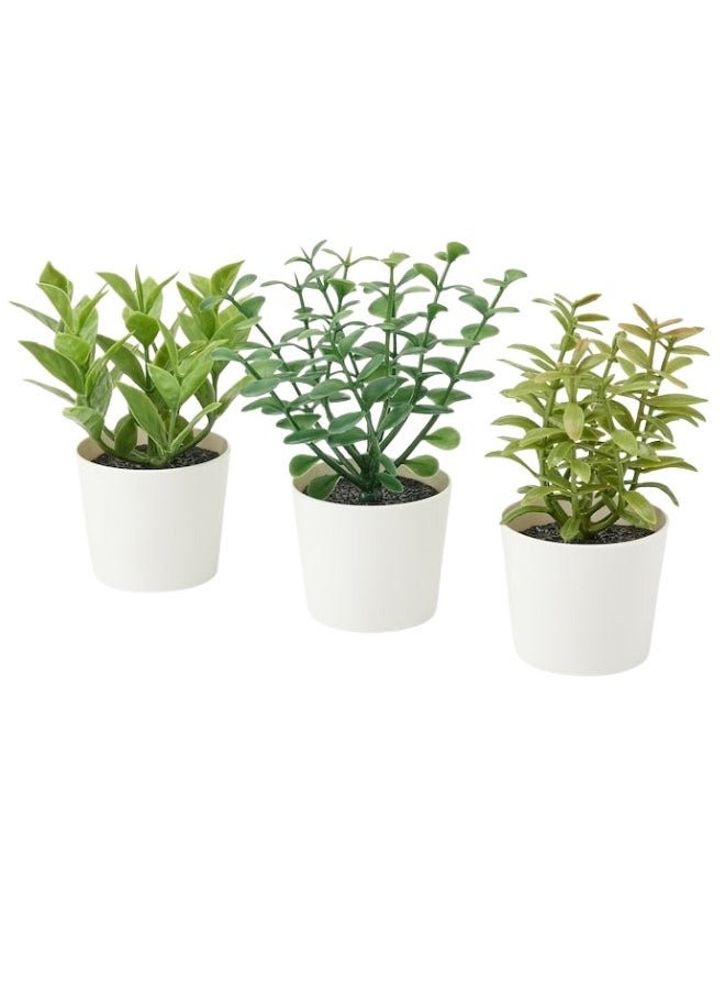 Ikea - Set of 3 Artificial Succulent Plants in Minimalist White Pots – Perfect for Home and Office Decor - Image 1
