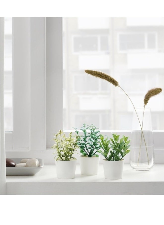 Ikea - Set of 3 Artificial Succulent Plants in Minimalist White Pots – Perfect for Home and Office Decor - Image 1