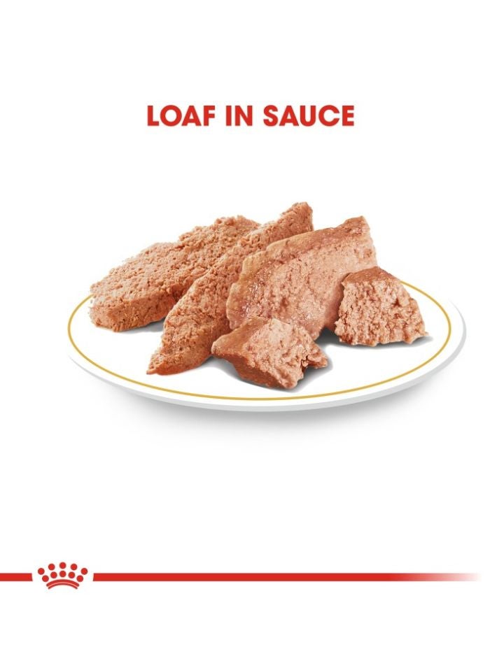 ROYAL CANIN Breed Health Nutrition Yorkshire Adult (WET FOOD - Pouches) 12 x 85g - Image 2