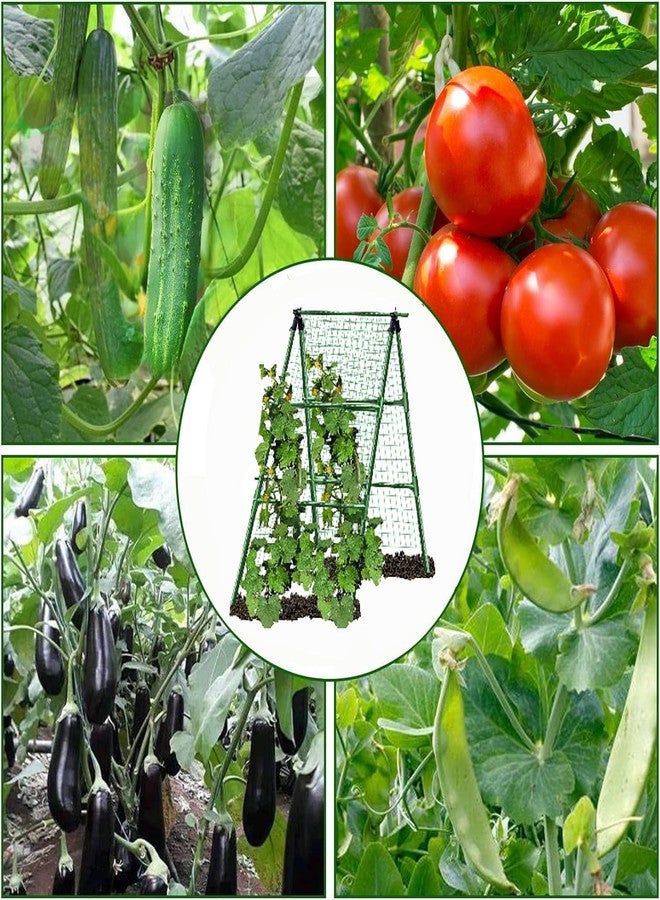 JK-GMTE A-Frame Metal Garden Trellis Set for Raised Bed for Climbing Plants Outdoor-Detachable Cucumber Climbing Trellis with Net Clips-Garden for Cucumber Flowers Vegetables - Image 4