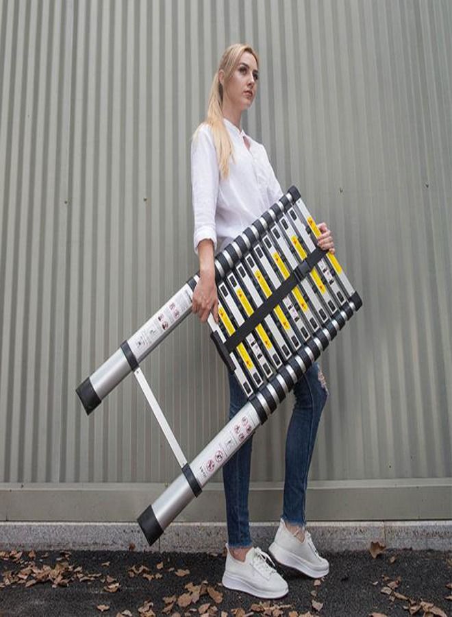 في تي سي سلم تلسكوبي 3.8 متر من الألومنيوم محمول متعدد الأغراض - Image 5