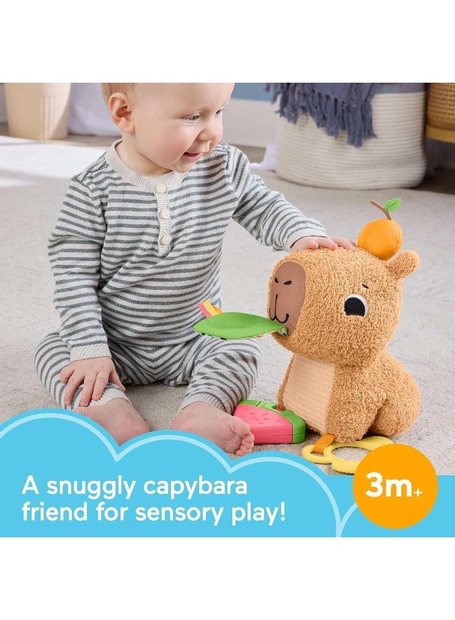 Fisher-Price Fisher-Price Snuggly Snacky Capybara Plush Teether & Rattle (25 cm)  - Image 3