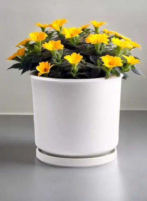 White Ceramic Flower Pots with Drainage Hole Succulent Garden Pots For Indoor And Outdoor