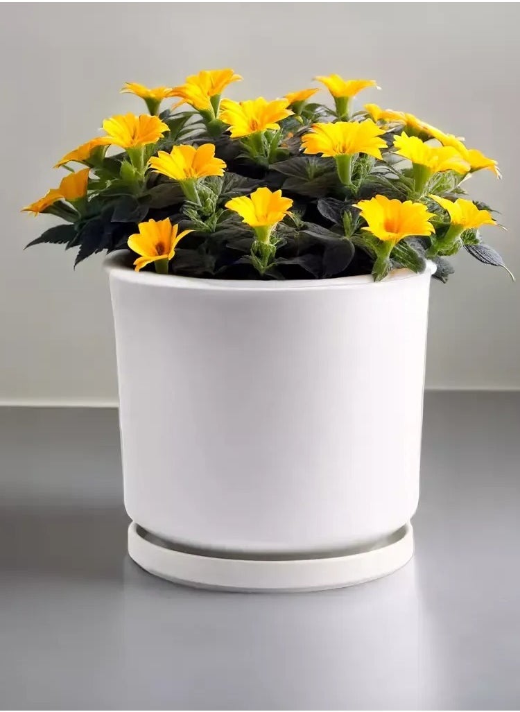 vsell24 White Ceramic Flower Pots with Drainage Hole Succulent Garden Pots For Indoor And Outdoor  - Image 1