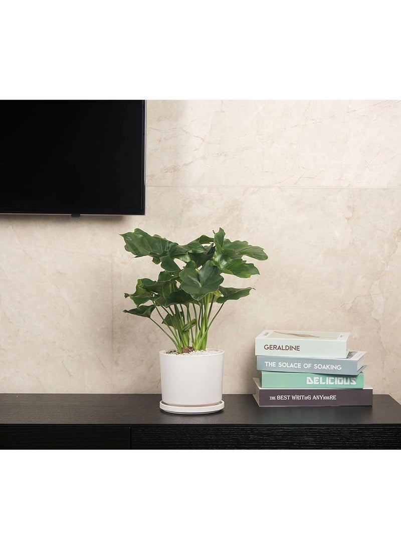 vsell24 White Ceramic Flower Pots with Drainage Hole Succulent Garden Pots For Indoor And Outdoor  - Image 2