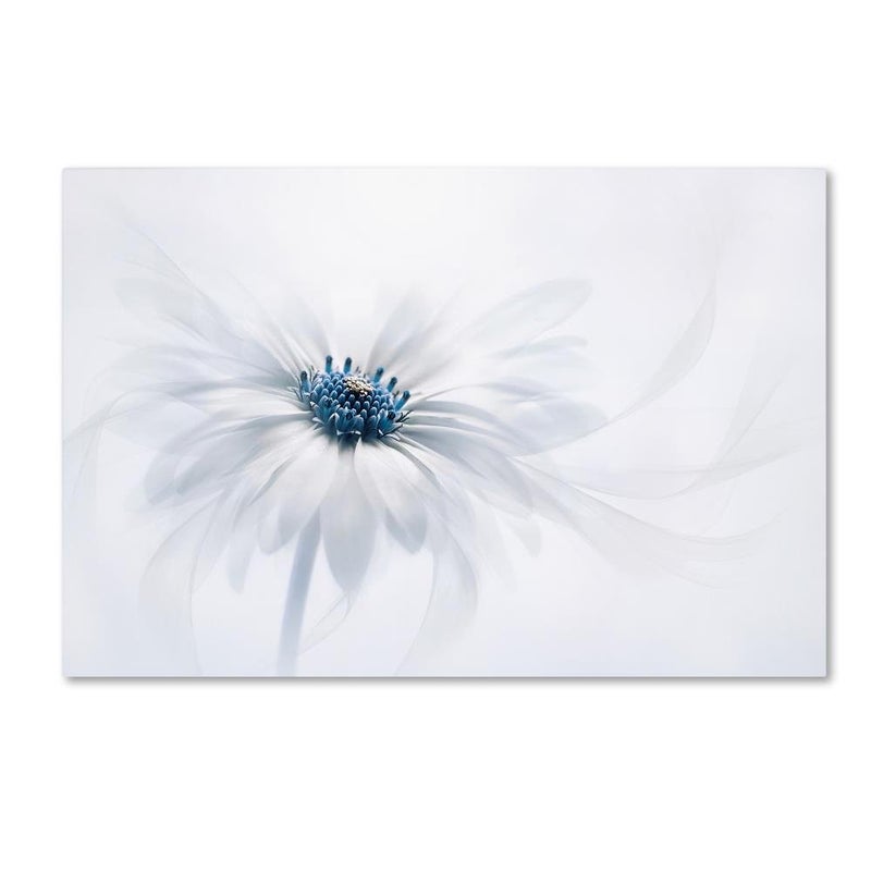 Trademark Fine Art Serenity by Jacky Parker 30x47Inch Canvas Wall Art 