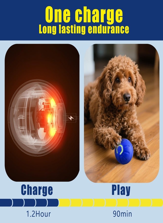 BIONEMAGILI Interactive Self-Moving Pet Toy Ball - Motion-Activated Auto Rolling, Military-Grade Chew Resistant, USB-C Rechargeable for Small Dogs & Cats (Orange, Small1 - Image 4