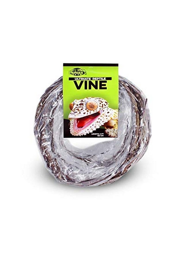 Pangea Pangea Reptile Ultimate Vine for Terrarium Habitat (Brown)  - Image 2