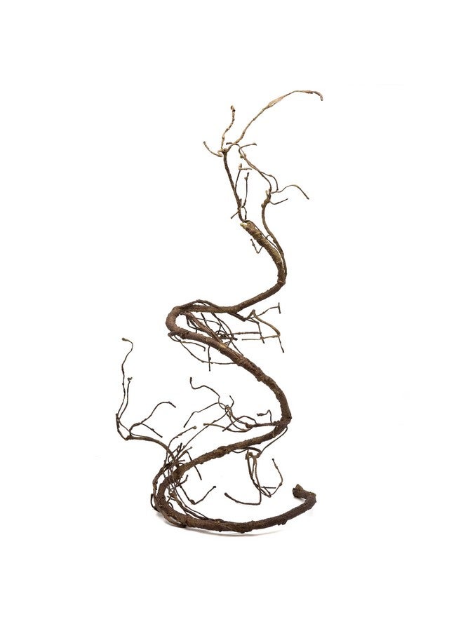 Pangea Pangea Reptile Ultimate Vine for Terrarium Habitat (Brown)  - Image 1